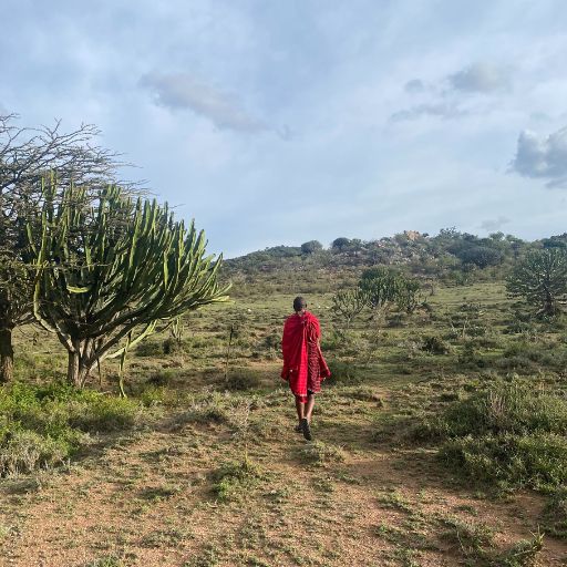 tribù del kenya
masai